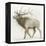 Elk v.2-James Wiens-Framed Stretched Canvas