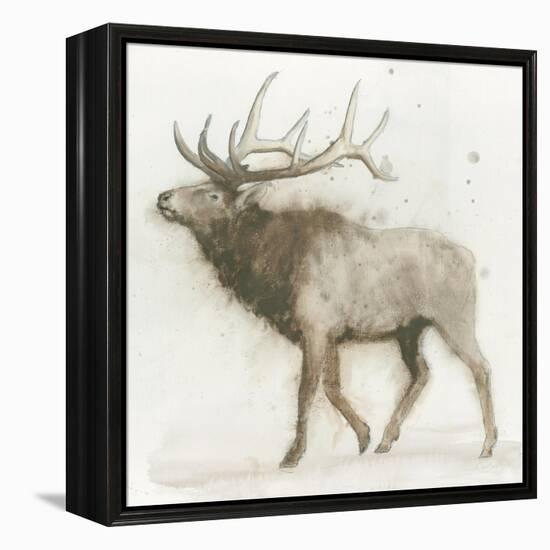 Elk v.2-James Wiens-Framed Stretched Canvas