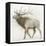 Elk v.2-James Wiens-Framed Stretched Canvas