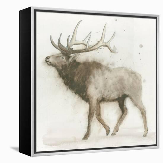 Elk v.2-James Wiens-Framed Stretched Canvas