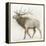 Elk v.2-James Wiens-Framed Stretched Canvas