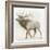 Elk v.2-James Wiens-Framed Art Print