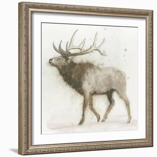 Elk v.2-James Wiens-Framed Art Print