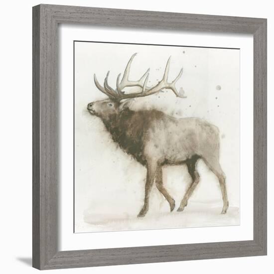 Elk v.2-James Wiens-Framed Art Print