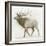 Elk v.2-James Wiens-Framed Art Print