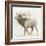 Elk v.2-James Wiens-Framed Art Print