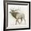 Elk v.2-James Wiens-Framed Art Print