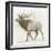 Elk v.2-James Wiens-Framed Art Print