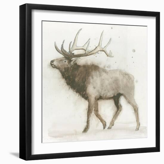 Elk v.2-James Wiens-Framed Art Print