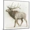 Elk v.2-James Wiens-Mounted Art Print