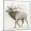 Elk v.2-James Wiens-Mounted Art Print