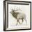 Elk v.2-James Wiens-Framed Art Print