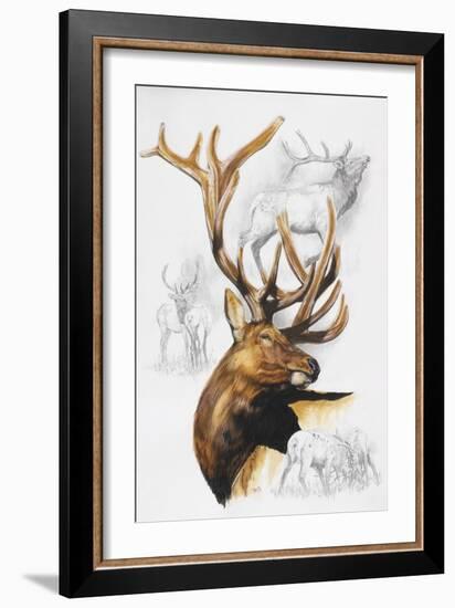 Elk-Barbara Keith-Framed Giclee Print