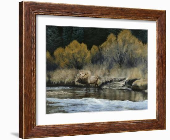 Elk-Rusty Frentner-Framed Giclee Print