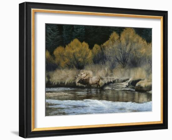 Elk-Rusty Frentner-Framed Giclee Print