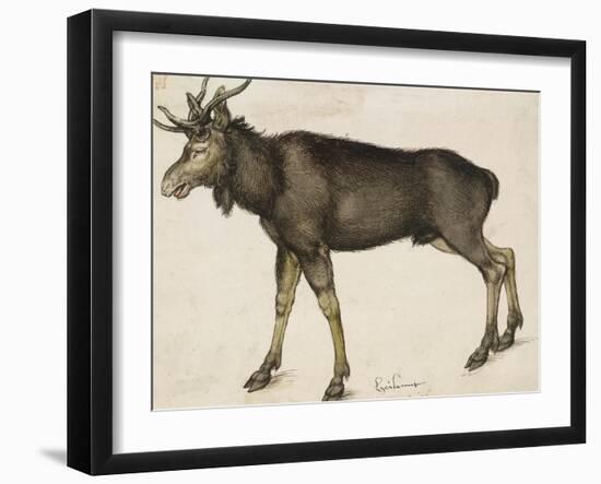 Elk-Albrecht Dürer-Framed Art Print