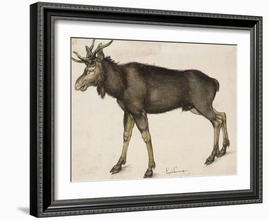 Elk-Albrecht Dürer-Framed Art Print