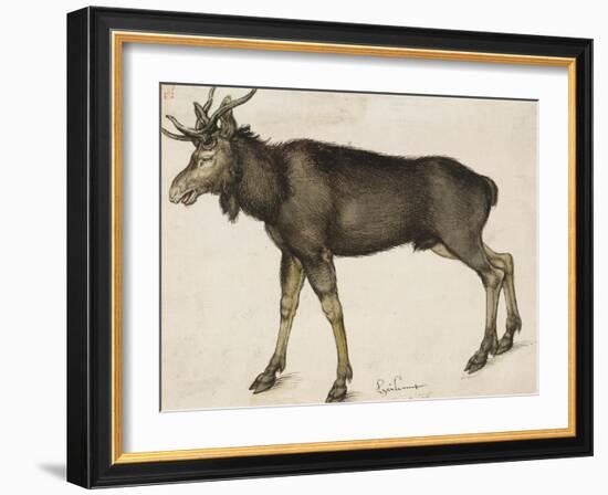 Elk-Albrecht Dürer-Framed Art Print