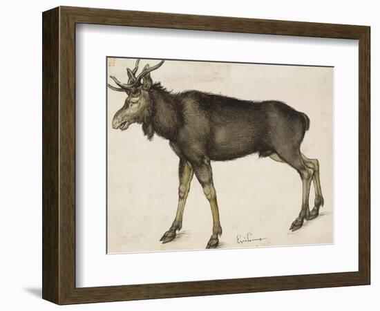 Elk-Albrecht Dürer-Framed Premium Giclee Print