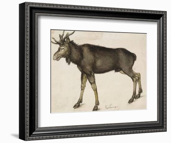 Elk-Albrecht Dürer-Framed Premium Giclee Print