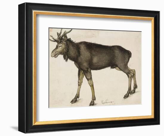 Elk-Albrecht Dürer-Framed Art Print