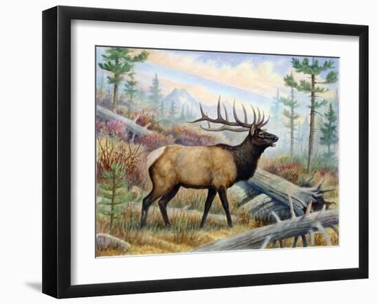 Elk-Ron Jenkins-Framed Art Print