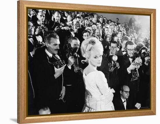 Elke Sommer Attending the Cannes Film Festival Amid a Sea of Photographers-Paul Schutzer-Framed Premier Image Canvas