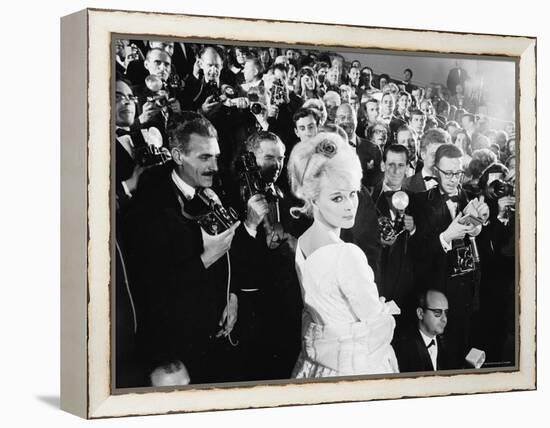 Elke Sommer Attending the Cannes Film Festival Amid a Sea of Photographers-Paul Schutzer-Framed Premier Image Canvas