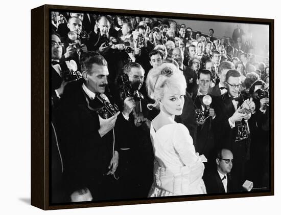 Elke Sommer Attending the Cannes Film Festival Amid a Sea of Photographers-Paul Schutzer-Framed Premier Image Canvas