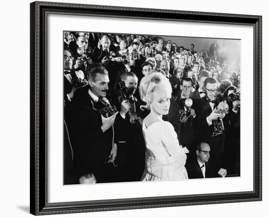 Elke Sommer Attending the Cannes Film Festival Amid a Sea of Photographers-Paul Schutzer-Framed Premium Photographic Print