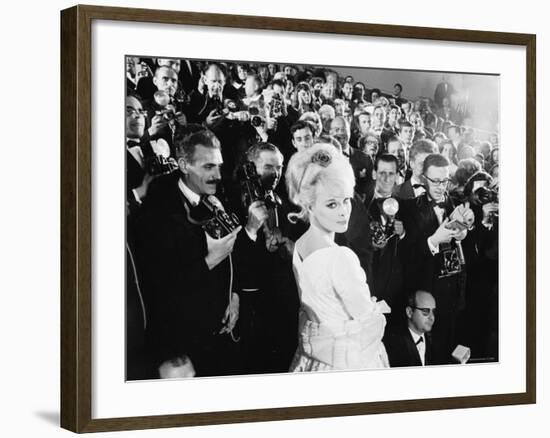 Elke Sommer Attending the Cannes Film Festival Amid a Sea of Photographers-Paul Schutzer-Framed Premium Photographic Print