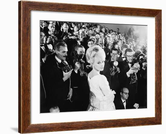 Elke Sommer Attending the Cannes Film Festival Amid a Sea of Photographers-Paul Schutzer-Framed Premium Photographic Print