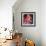 Elke Sommer-null-Framed Photo displayed on a wall