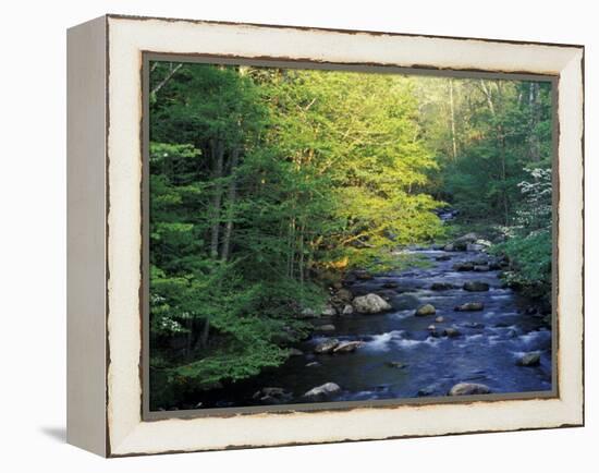 Elkmount Area, Great Smoky Mountains National Park, Tennessee, USA-Darrell Gulin-Framed Premier Image Canvas