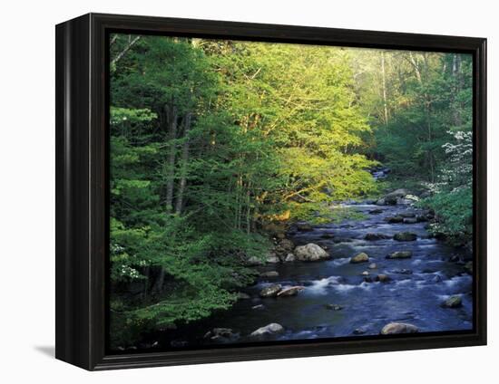 Elkmount Area, Great Smoky Mountains National Park, Tennessee, USA-Darrell Gulin-Framed Premier Image Canvas