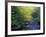 Elkmount Area, Great Smoky Mountains National Park, Tennessee, USA-Darrell Gulin-Framed Premium Photographic Print
