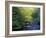 Elkmount Area, Great Smoky Mountains National Park, Tennessee, USA-Darrell Gulin-Framed Photographic Print