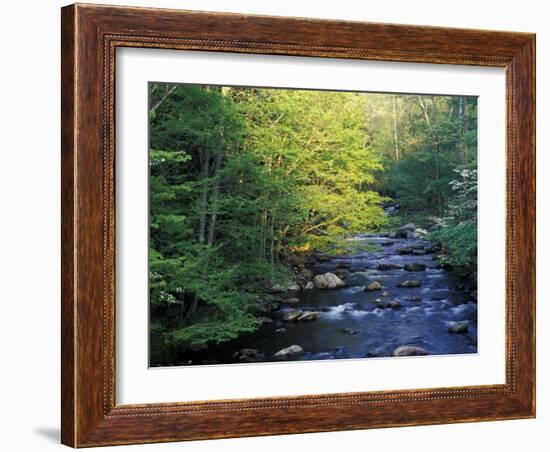 Elkmount Area, Great Smoky Mountains National Park, Tennessee, USA-Darrell Gulin-Framed Photographic Print