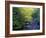 Elkmount Area, Great Smoky Mountains National Park, Tennessee, USA-Darrell Gulin-Framed Photographic Print