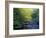 Elkmount Area, Great Smoky Mountains National Park, Tennessee, USA-Darrell Gulin-Framed Photographic Print