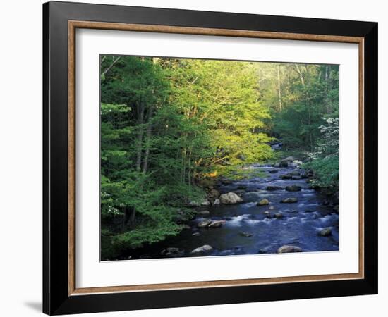 Elkmount Area, Great Smoky Mountains National Park, Tennessee, USA-Darrell Gulin-Framed Photographic Print