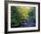 Elkmount Area, Great Smoky Mountains National Park, Tennessee, USA-Darrell Gulin-Framed Photographic Print