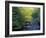 Elkmount Area, Great Smoky Mountains National Park, Tennessee, USA-Darrell Gulin-Framed Photographic Print