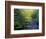 Elkmount Area, Great Smoky Mountains National Park, Tennessee, USA-Darrell Gulin-Framed Photographic Print