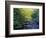 Elkmount Area, Great Smoky Mountains National Park, Tennessee, USA-Darrell Gulin-Framed Photographic Print
