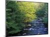 Elkmount Area, Great Smoky Mountains National Park, Tennessee, USA-Darrell Gulin-Mounted Photographic Print