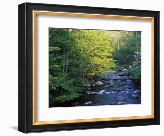 Elkmount Area, Great Smoky Mountains National Park, Tennessee, USA-Darrell Gulin-Framed Photographic Print