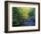 Elkmount Area, Great Smoky Mountains National Park, Tennessee, USA-Darrell Gulin-Framed Photographic Print