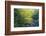 Elkmount Area, Great Smoky Mountains National Park, Tennessee, USA-Darrell Gulin-Framed Photographic Print