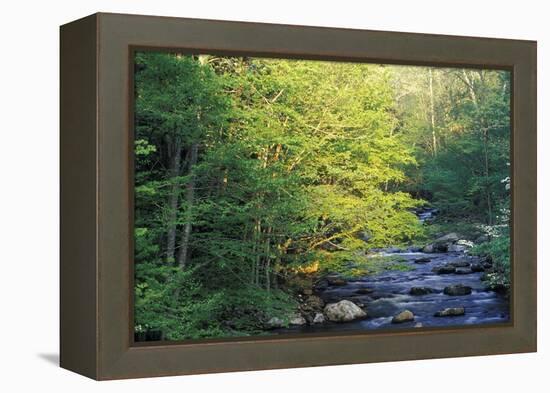 Elkmount Area, Great Smoky Mountains National Park, Tennessee, USA-Darrell Gulin-Framed Premier Image Canvas